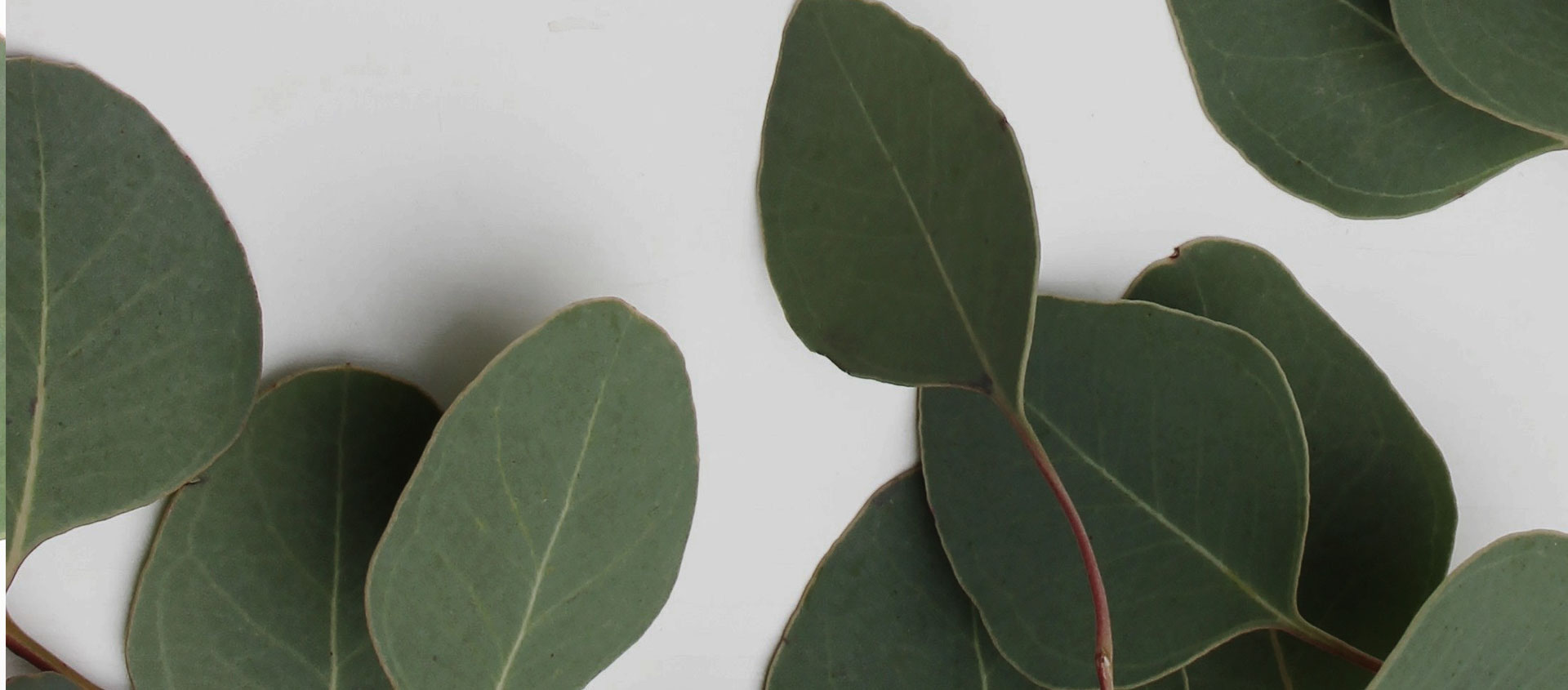 Взыскание ущерба от экологических правонарушений в Ардоне