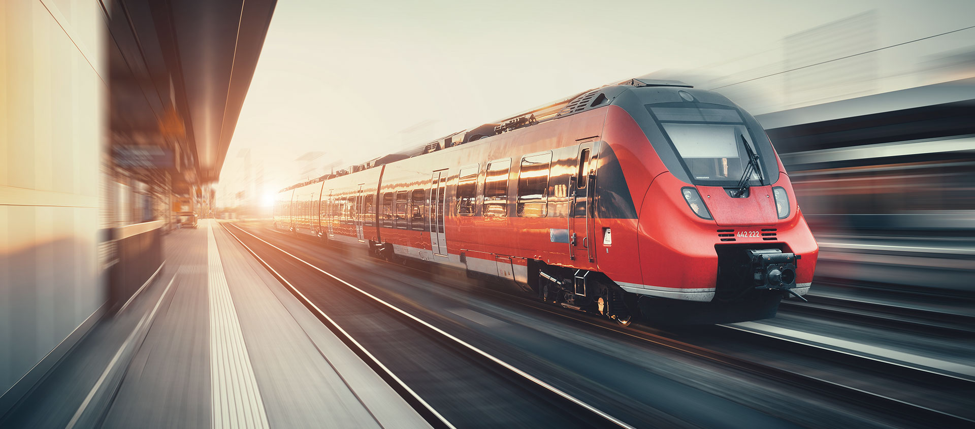 Услуги таможенного юриста в Ардоне